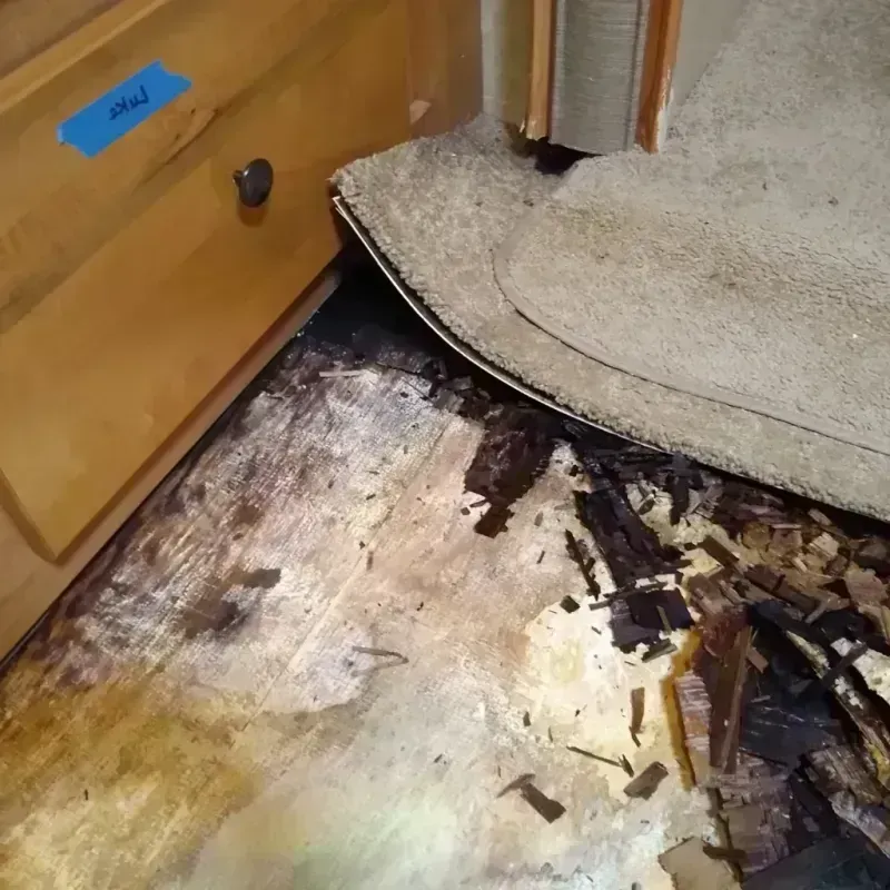 Best Wood Floor Water Damage Service in Plains, KS